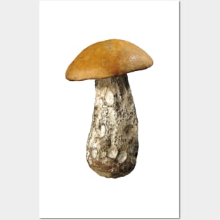 Mushroom Posters and Art